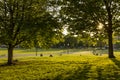 Boston PUblic Garden in Massachusetts, USA Royalty Free Stock Photo