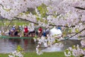 Boston Public Garden in the Spring Royalty Free Stock Photo