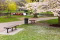 Boston Public Garden in the Spring Royalty Free Stock Photo