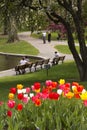 Boston Public Garden in the Spring Royalty Free Stock Photo