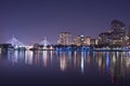 Boston skyline at night time Royalty Free Stock Photo