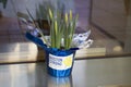 Boston Strong`s marathon annual daffodil