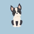 Boston Terrier dog breed vector. Doodle nice doggie pet vector.