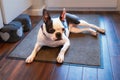 Boston Terrier dog lying down on a door mat