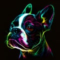 Boston terrier dog puppy in abstract, graphic highlighters lines rainbow ultra-bright neon artistic portrait