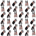 Boston terrier dog seamless pattern colorful with cute dogs.