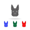 Boston terrier face icon. Elements of dogs multi colored icons. Premium quality graphic design icon. Simple icon for websites, web Royalty Free Stock Photo