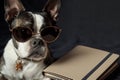 boston terrier in hornrimmed glasses with a moleskin notebook