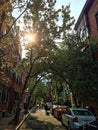 Street in Beacon Hill, a historic neighborhood in Boston, Massachusetts Royalty Free Stock Photo