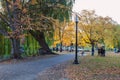 Walking trail in Boston Common park in fall season