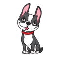 Cartoon of a Boston Terrier Royalty Free Stock Photo