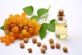 Boswellia carterii essential oil and fresh fruits