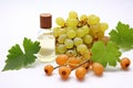 Boswellia carterii essential oil and fresh fruits