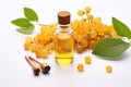 Boswellia carterii essential oil and fresh fruits