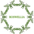 Boswellia in color, LM 16-6