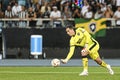 Botafogo (BRA) vs Junior Barranquilla (COL) by Libertadores Cup