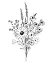 Botanic elements. Trendy wild flowers and branches, plants and leaves black and white Eps