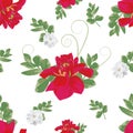 Botanic floral pattern red dahlia of flowers and green leaves gr