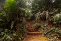 Botanic Garden at Bedugul, Bali