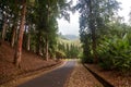 Botanic Garden at Bedugul, Bali,