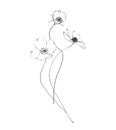 Botanic outline wildflower bouquet. Hand drawn floral abstract pencil sketch