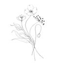 Botanic outline wildflower bouquet. Hand drawn floral abstract pencil sketch