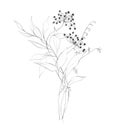 Botanic outline wildflower bouquet. Hand drawn floral abstract pencil sketch