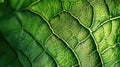 Botanic Tapestry: Microscopic Marvels of a Green Leaf