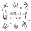 Isolated floral icons. Vector monochrome illustration of plants, mushrooms, insects on light background. Original hand-drawn set