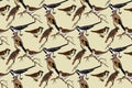 Botanical abstract seamless pattern with garden birds vector illustration. Colorful repeating cartoon pattern birds in beige color