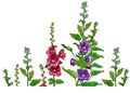 Botanical acrylic illustration for amazing design with red and violet hollyhock or mallow on white isolated background