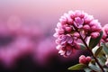 Botanical allure Arctostaphylos uva ursi flower gracing a garden with copy space