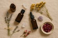 Botanical Aromatherapy Setup with Crystals, Dried Flowers, and Essential Oils Royalty Free Stock Photo