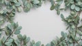 Botanical Arrangement. Delicate Leaves Frame a Soft, Empty Space for Text or Design. Royalty Free Stock Photo