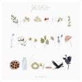 Botanical autumn illustration set