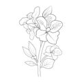 Botanical azalea flower illustration, Japanese azalea tattoo drawings, black and white evergreen azalea flower line art