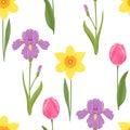 Botanical background. Floral seamless pattern. Spring flowers daffodils, purple irises and pink tulips with green leaves. Royalty Free Stock Photo