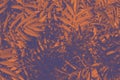 Botanical background in orange and purple tones with copy space made of many thick plants and leaves.