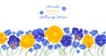 Horizontal frame with yellow and blue flowers of buttercups and pansies on white background. Royalty Free Stock Photo