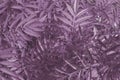 Botanical background in violet tones with copy space made of many thick plants and leaves.