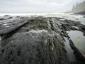 Botanical Beach, Juan de Fuca Trail, Port Renfrew, BC, Vancouver