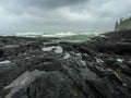 Botanical Beach, Juan de Fuca Trail, Port Renfrew, BC, Vancouver