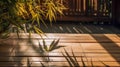 Botanical beauty: bamboo foliage and its shadow patterns against a sunlit wooden surface
