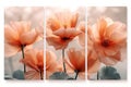 Botanical beauty in a segmented display, showcasing the gentle folds of poppy petals