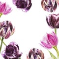 Botanical blank for text. Watercolor Tulips flowers. Perfect for invitation, wedding or greeting cards.