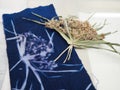 Botanical blueprint pattern cyanotype on fabric canvas