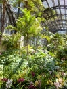 Botanical building, Balboa park. San DIego