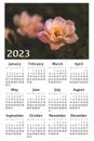 Botanical calendar for 2023