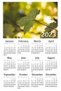 Botanical calendar for 2023. Vertical wall calendar