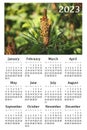 Botanical calendar for 2023. Vertical wall calendar